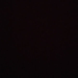 Meet your Posher, Jude